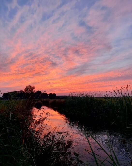 Tiny House "De Veenpolder" De Veenhoop Zewnętrze zdjęcie